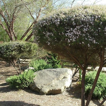Rosedale Inn Πασίφικ Γκρόουβ Εξωτερικό φωτογραφία