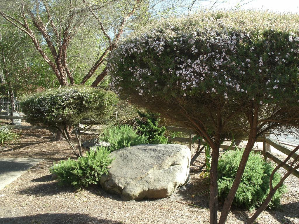 Rosedale Inn Πασίφικ Γκρόουβ Εξωτερικό φωτογραφία